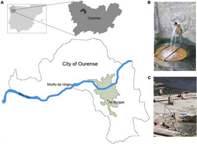 Comparative Metagenomic Analysis of Two Hot Springs From Ourense (Northwestern Spain) and Others Worldwide